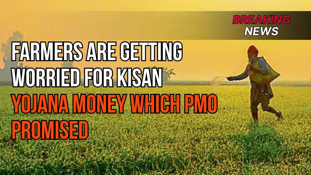 PM Kisan 20th Installment: When Will Farmers Get ₹2,000?