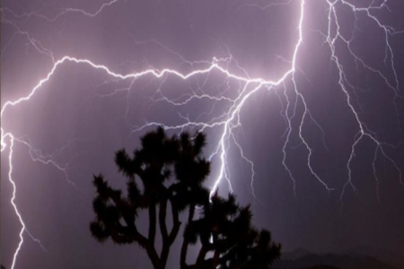 Monsoon 2025: IMD Issues Heavy Rain Alerts for 20+ States